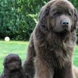 Meet your Posher, Damon